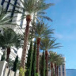 Meet your Posher, Paul